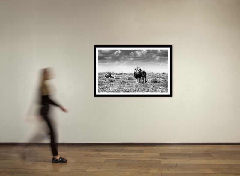 40 x 60 in., edition of 15